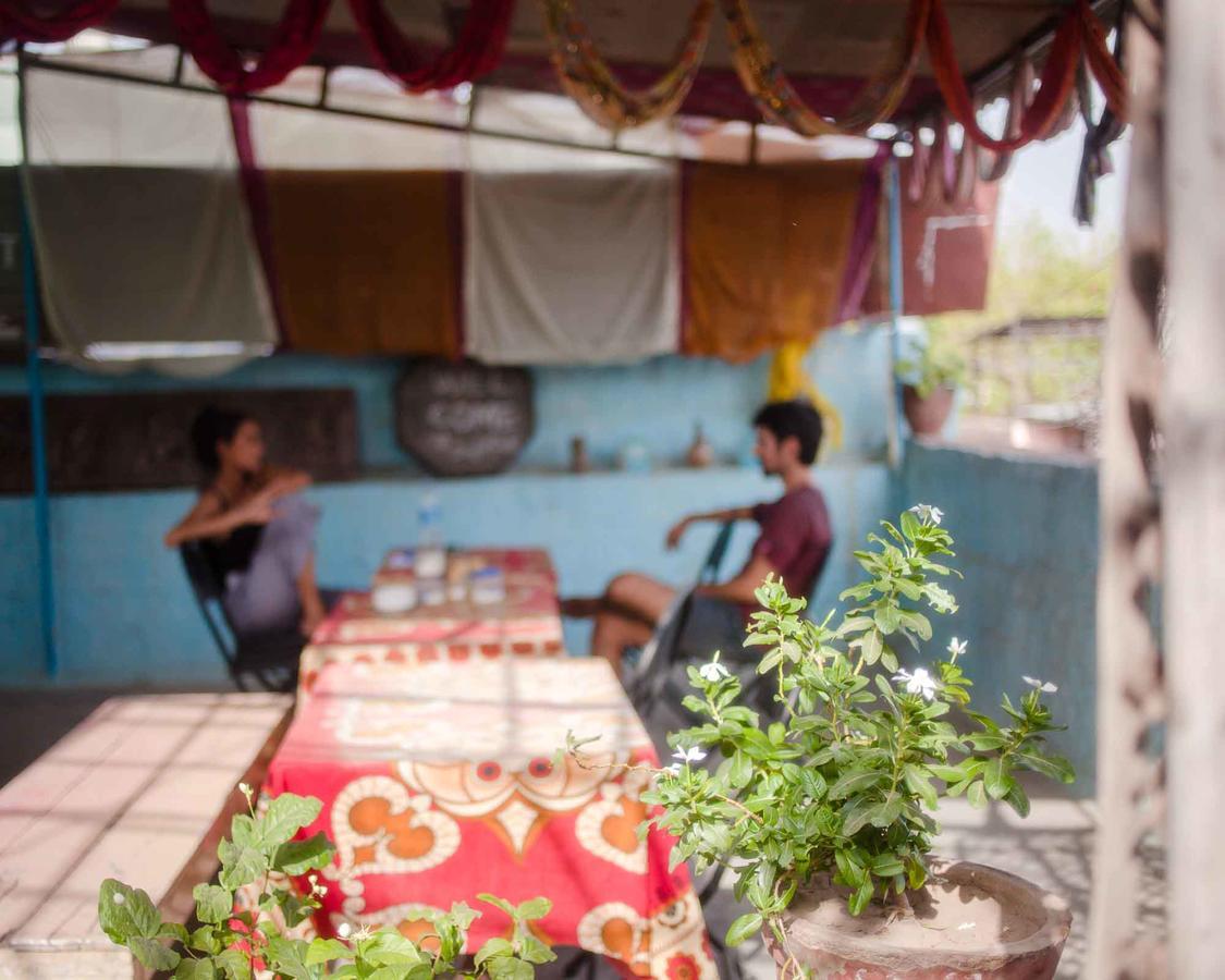 Bed & Breakfast Anil Sunrise Jodhpur (Rajasthan)